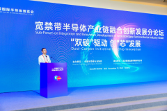 2024宽禁带半导体产业链融合创新发展分论坛召开