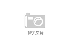 共建“芯”生态！汽车与RISC-V芯片技术融合研讨会举办